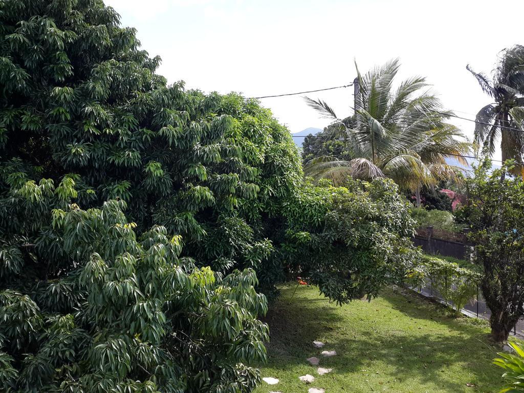 Appartement Les Bougainvilliers Vue Mer Saint-Claude Esterno foto